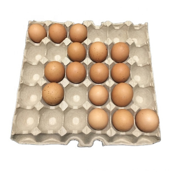 Bio-degradable paper egg tray chicken egg 30 eggs packers